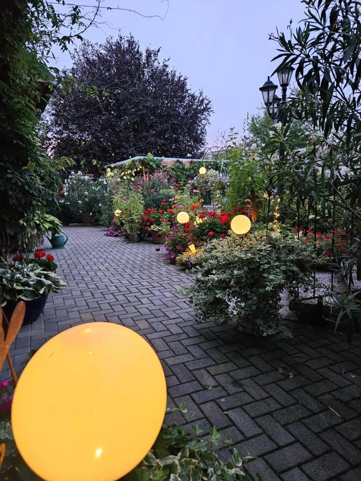 Ferienwohnung Koppi Pamhagen Luaran gambar