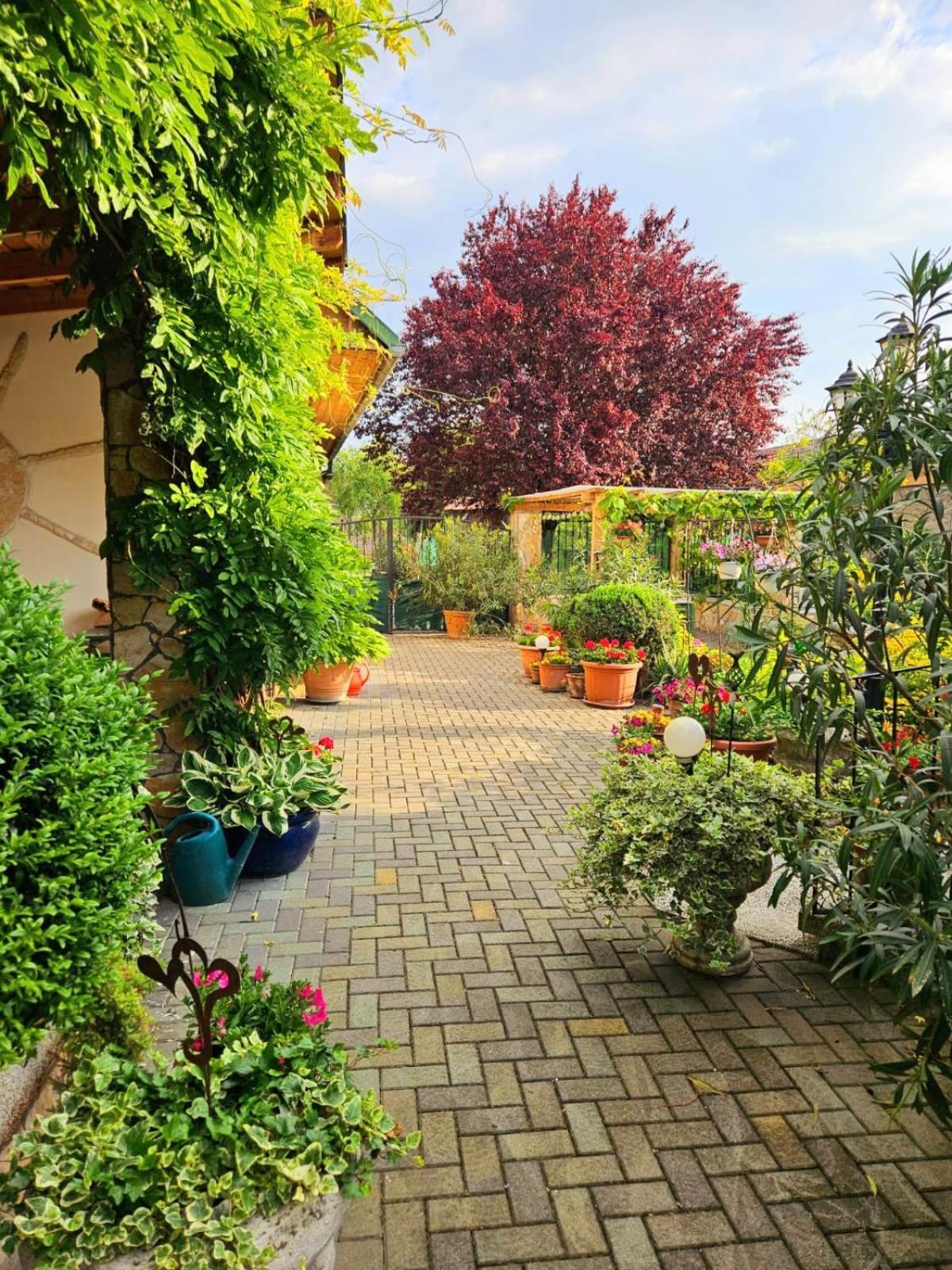 Ferienwohnung Koppi Pamhagen Luaran gambar