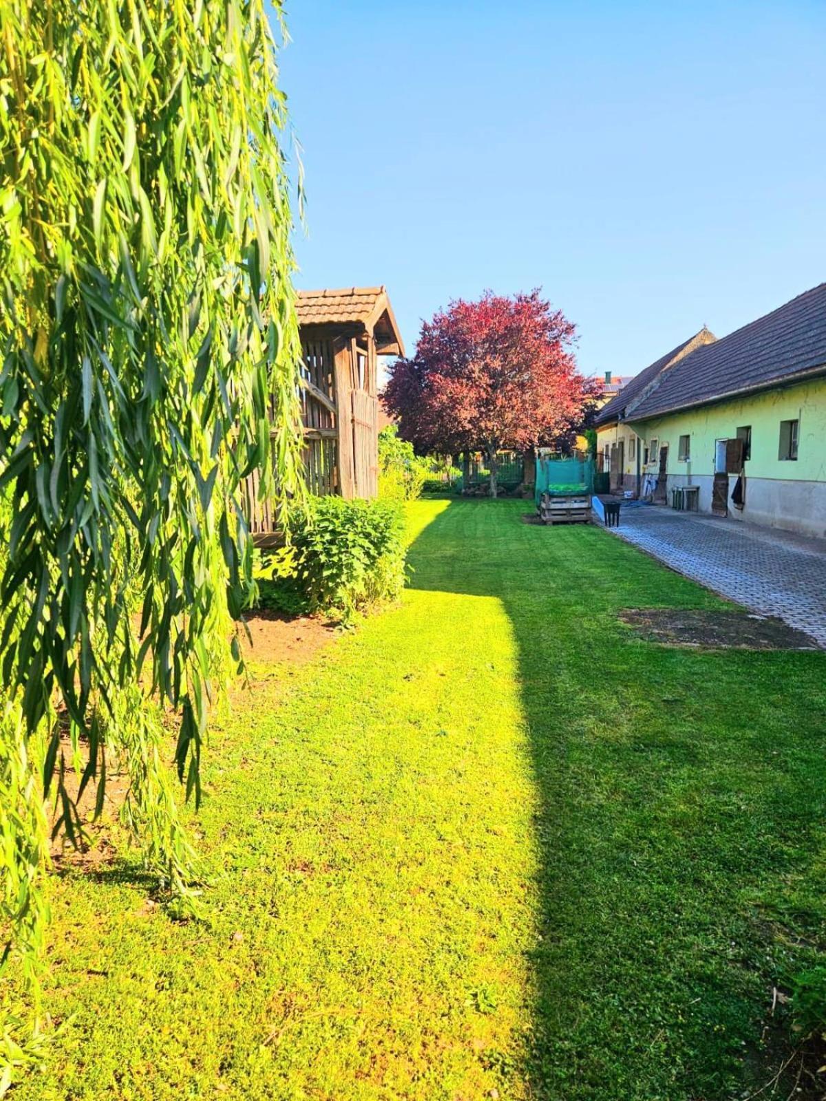 Ferienwohnung Koppi Pamhagen Luaran gambar
